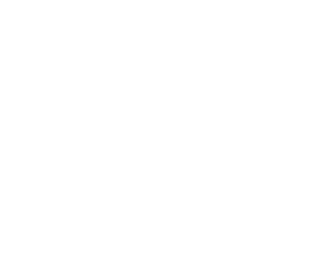 emerya_musée-grévin_expertise_technique